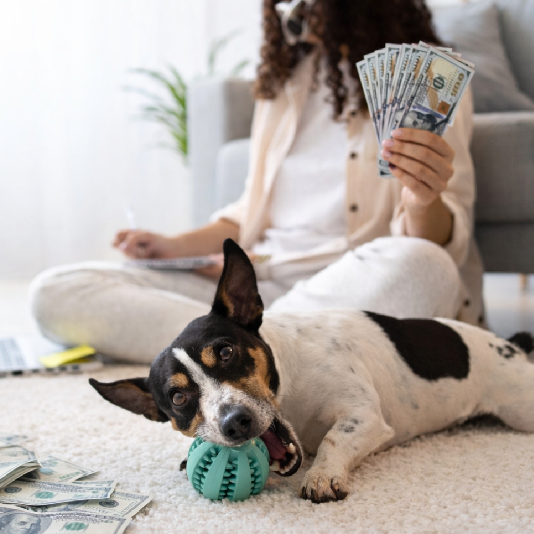 financial benefits of minnesota esa letter