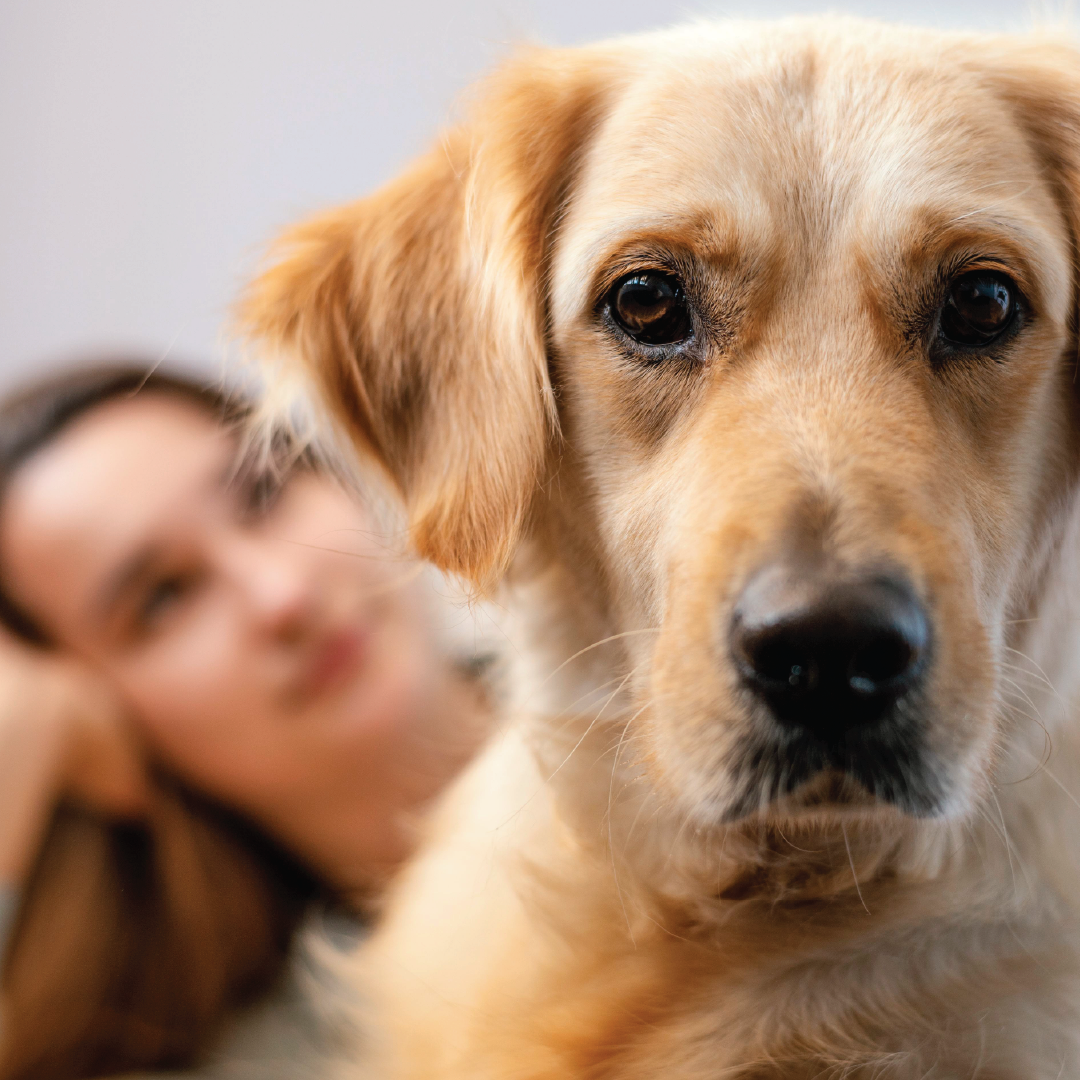 emotional benefits of nevada esa letter