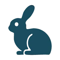 rabbit icon