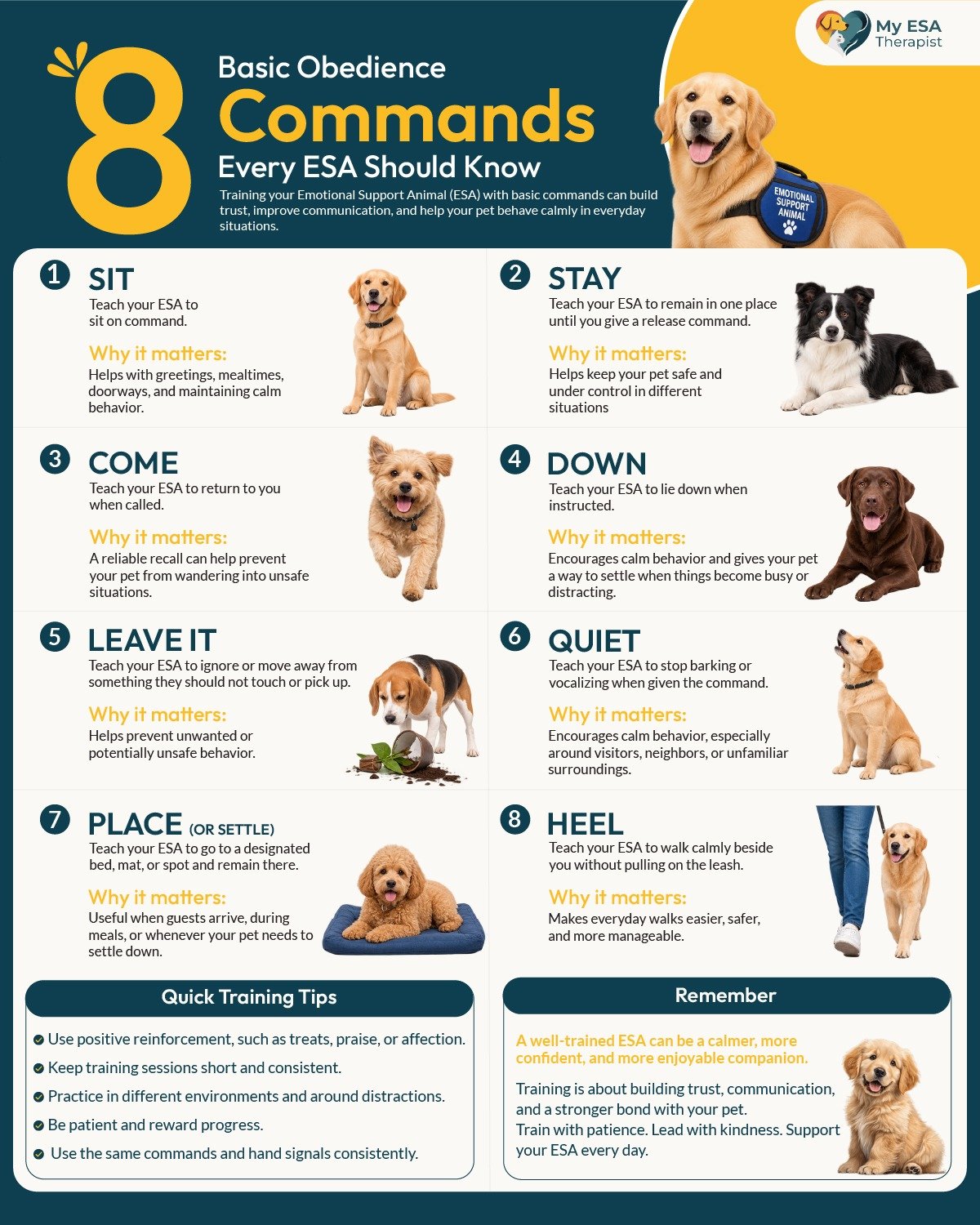 basic commands for esas